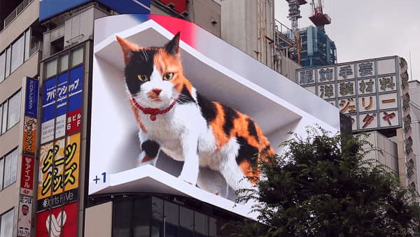 Гигантский 3D-кот поселился на вокзале в Японии  - Sputnik Азербайджан