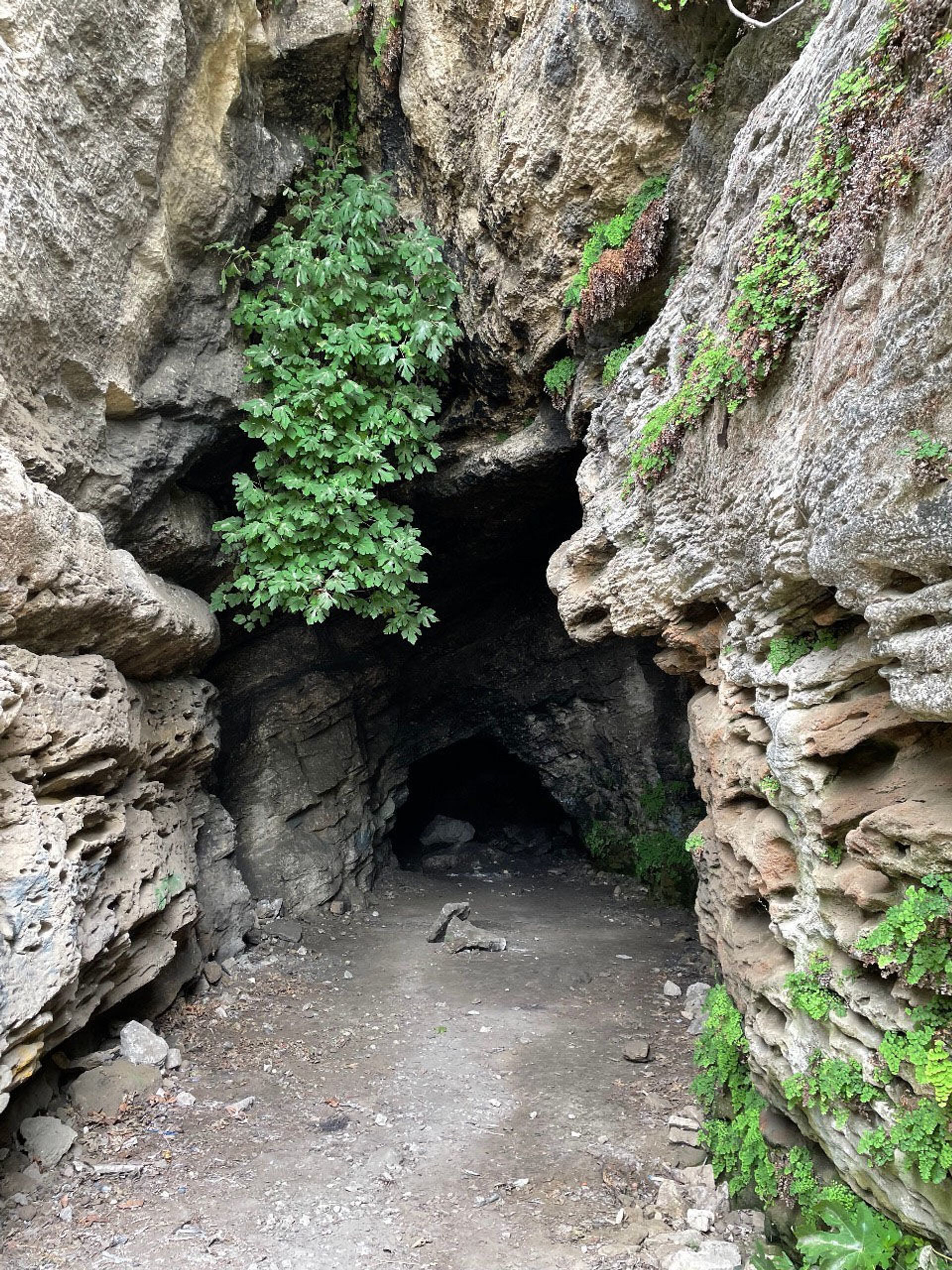Пещера тайн.