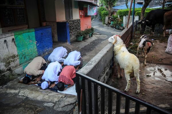 Индонезийские мусульмане совершают молитву в честь праздника Курбан-байрама в Бандунге, провинция Западная Ява, Индонезия - Sputnik Азербайджан