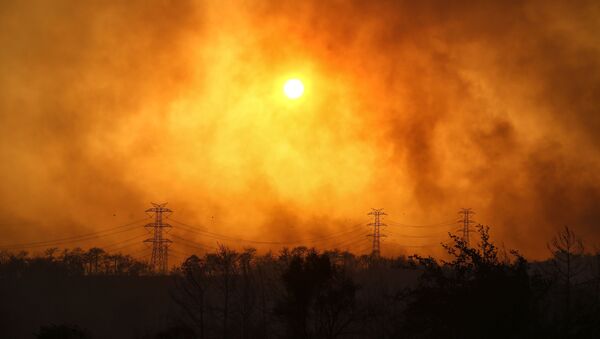 Дым над лесом вокруг Манавгата - Sputnik Azərbaycan