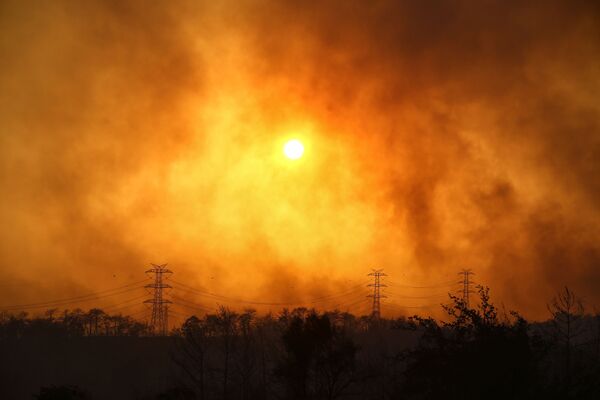 Дым над лесом вокруг Манавгата - Sputnik Azərbaycan