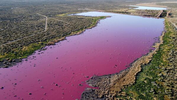 Лагуна в патагонской провинции Чубут, Аргентина, ставшая розовой из-за попавших в нее химикатов. - Sputnik Азербайджан
