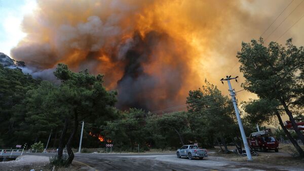 Лесной пожар в Турции - Sputnik Azərbaycan