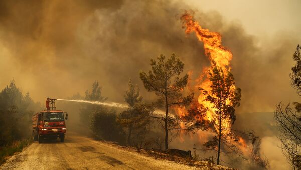 Лесной пожар в Турции - Sputnik Азербайджан