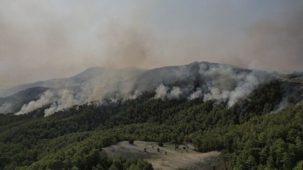 Лесной пожар, фото из архива - Sputnik Азербайджан