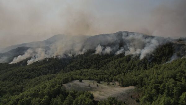 Лесной пожар, фото из архива - Sputnik Азербайджан
