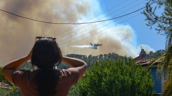 Лесной пожар в Турции, фото из архива - Sputnik Azərbaycan