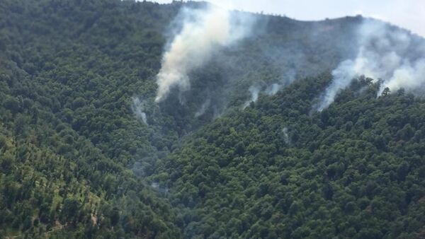 Лесной пожар у села Хонуба Ярдымлинского района - Sputnik Азербайджан