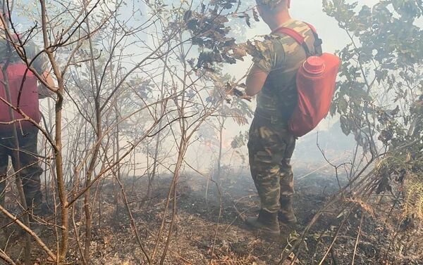 Тушение пожара у села Хонуба Ярдымлинского района - Sputnik Азербайджан