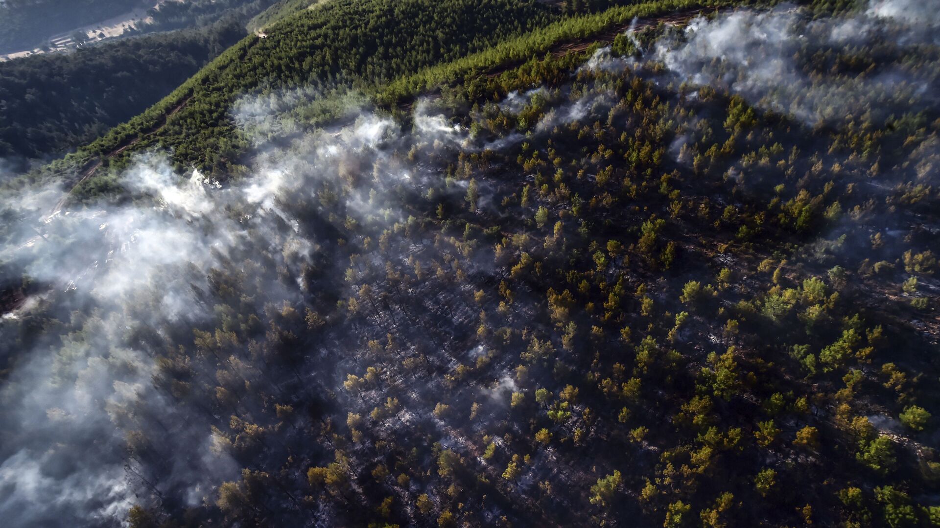 Лесной пожар в Мармарисе, Турция - Sputnik Азербайджан, 1920, 23.06.2023