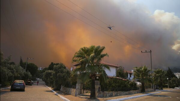 Лесной пожар в Бодруме, Турция - Sputnik Азербайджан