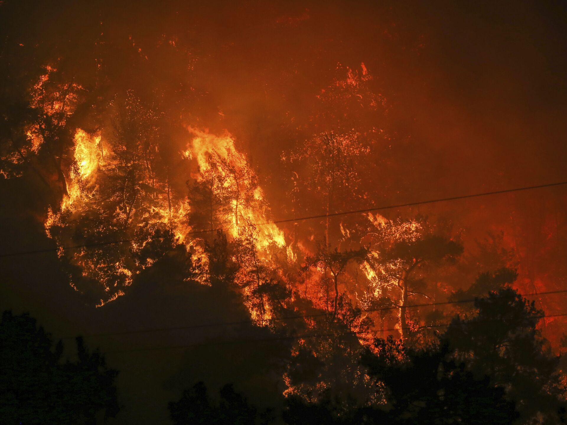 Почему горят пожары. Пожар в лесу. Пожар фото. Пожар в лесу фото. Пожары в Турции 2023.