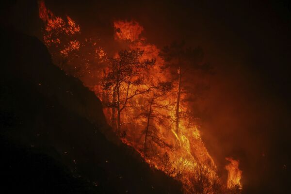 Лесной пожар в деревне Кокертме, недалеко от Бодрума, Турция, 2 августа 2021 года - Sputnik Азербайджан