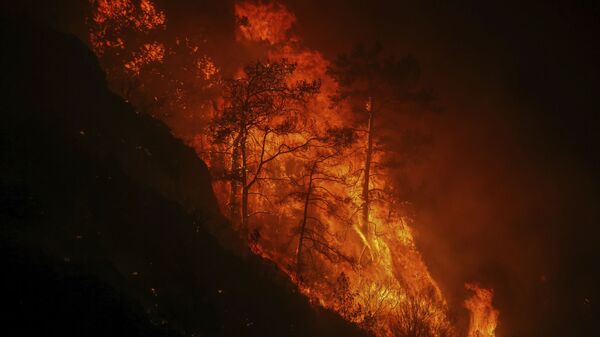 Лесной пожар в Турции, фото из архива - Sputnik Азербайджан