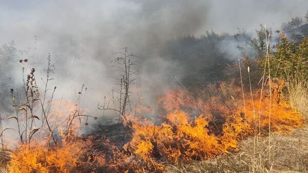Пожар, фото из архива - Sputnik Азербайджан