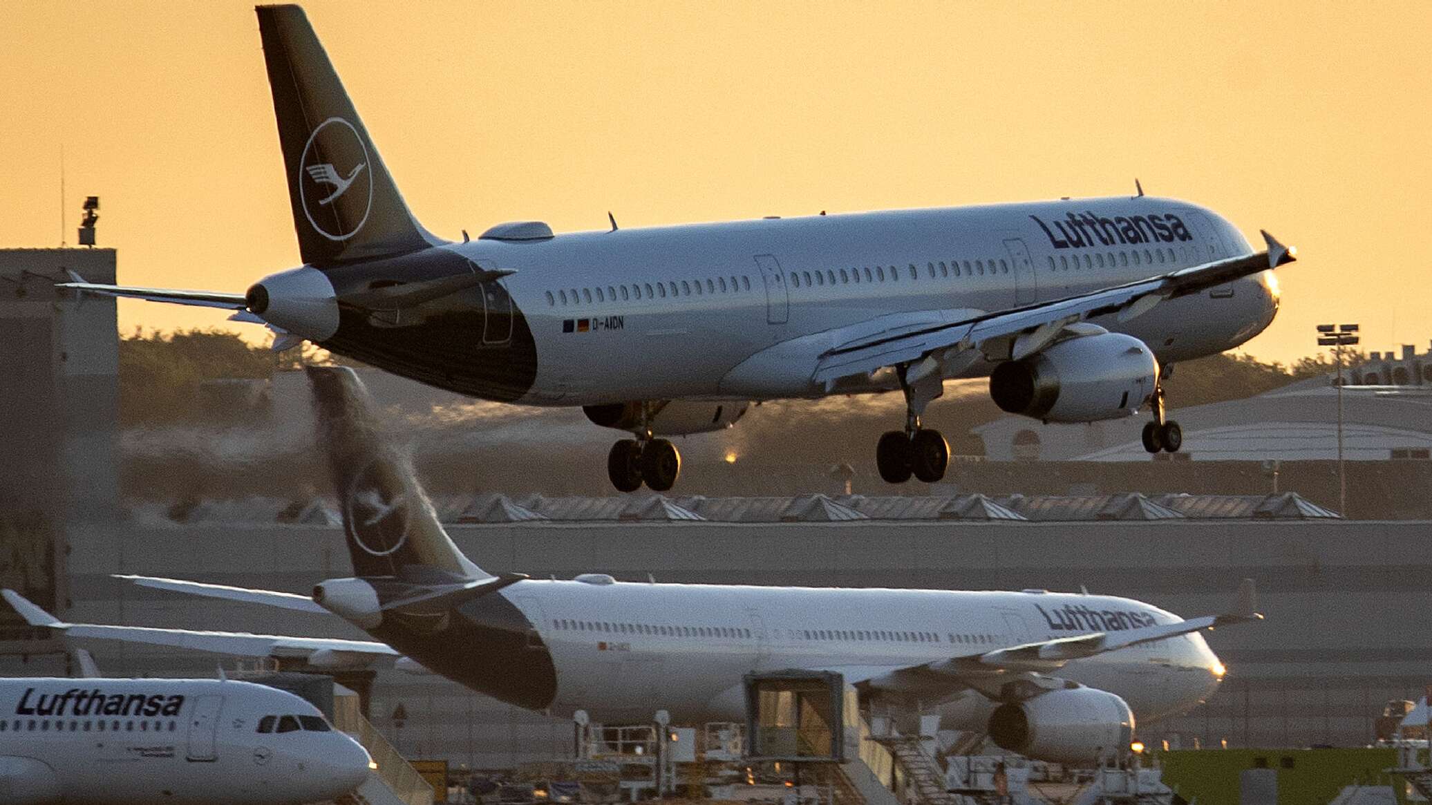 Франкфурт перелет. Москва Баку полет. Lufthansa collage. Lufthansa Baku.