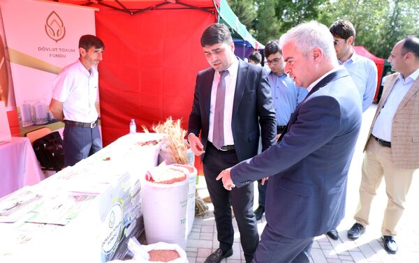 Bu gündən respublika toxum sərgi-satış yarmarkasına start verilib Bu gündən respublika toxum sərgi-satış yarmarkasına start verilib - Sputnik Azərbaycan