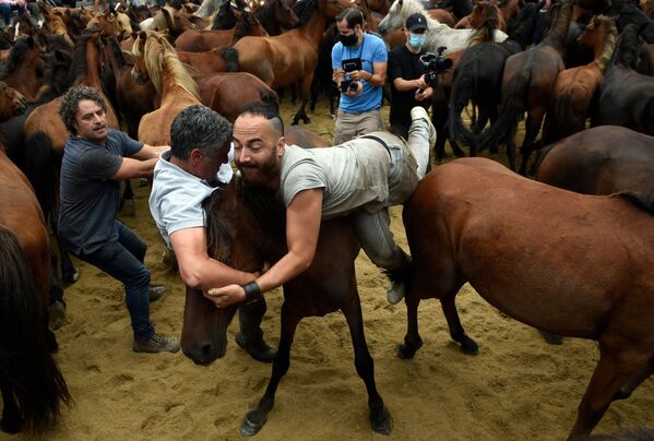 Алоитадоры борются с дикими лошадьми во время традиционного мероприятия Стрижка зверей в испанском местечке Сабучедо. - Sputnik Азербайджан