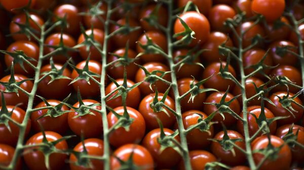 Pomidor satışı, arxiv şəkli - Sputnik Azərbaycan