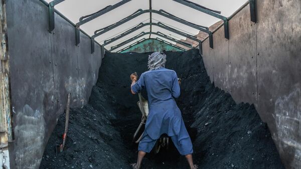 Kömür daşıyan işçi - Sputnik Azərbaycan