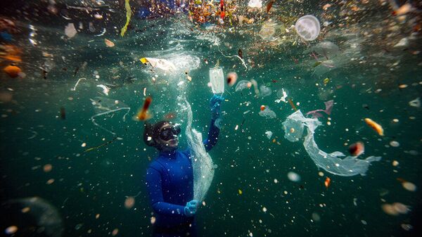 Работа фотографа Шебнем Кошкун Новая опасность для подводного мира: отходы COVID-19. Гран-при
 - Sputnik Азербайджан