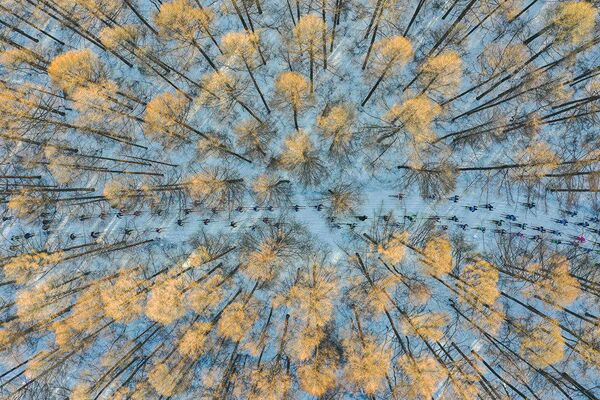 Работа фотографа Чан Сюй &quot;На лыжах в весну&quot;. Моя Планета, одиночные фотографии, 1 место - Sputnik Азербайджан