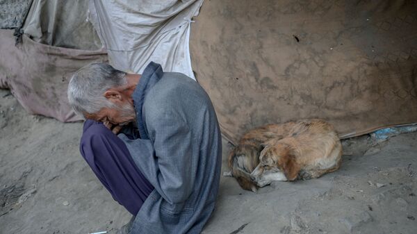 Наркоман, спящий рядом с собакой под мостом в Кабуле - Sputnik Азербайджан