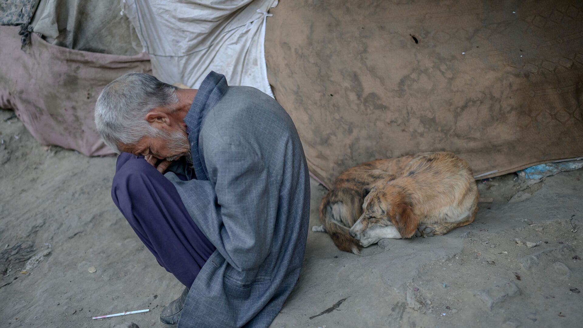 Наркоман, спящий рядом с собакой под мостом в Кабуле - Sputnik Азербайджан, 1920, 06.07.2022