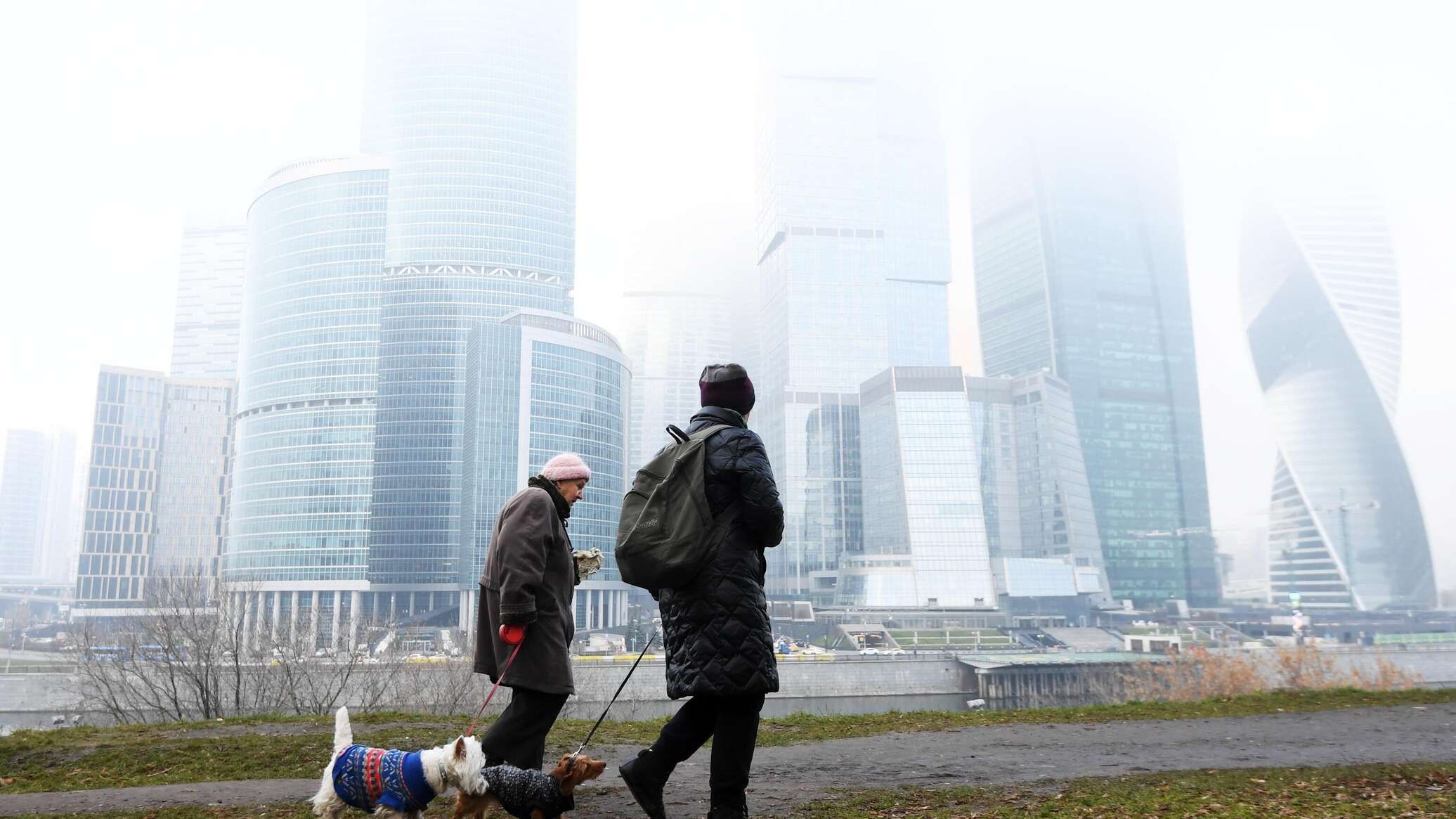 Атмосферное явление сократило видимость в Подмосковье до 100 метров -  02.10.2023, Sputnik Азербайджан