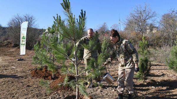 Ильхам Алиев и Мехрибан Алиева посадили деревья в Шуше: восстанавливается лес Топхана - Sputnik Азербайджан