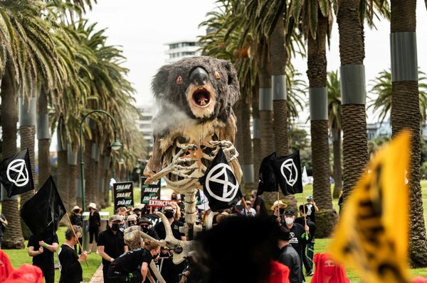 Активисты Extinction Rebellion проводят похороны коалы, Австралия. - Sputnik Азербайджан