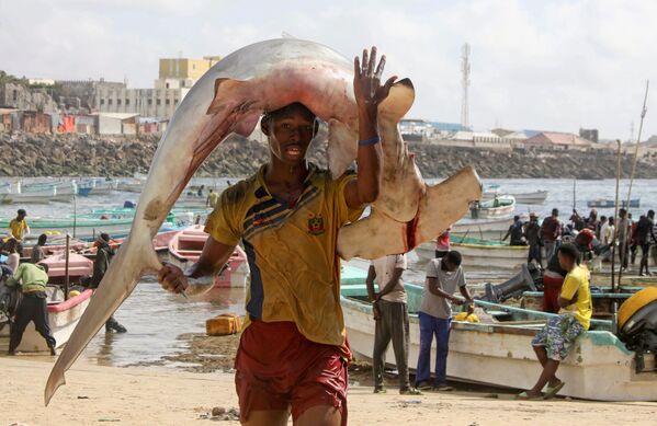 Житель Сомали с рыбой на пляже Оробо в Могадишо. - Sputnik Азербайджан