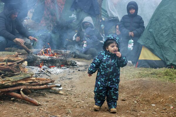 Сколько дней этому малышу еще жить в лесу? - Sputnik Азербайджан