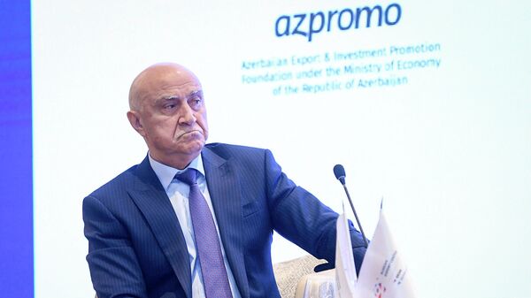 Председатель правления уполномоченной структуры Свободной экономической зоны Алят (СЭЗ) Валех Алескеров - Sputnik Азербайджан