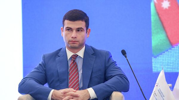 Председатель правления Агентства по развитию малого и среднего бизнеса (МСБ) Орхан Мамедов - Sputnik Азербайджан