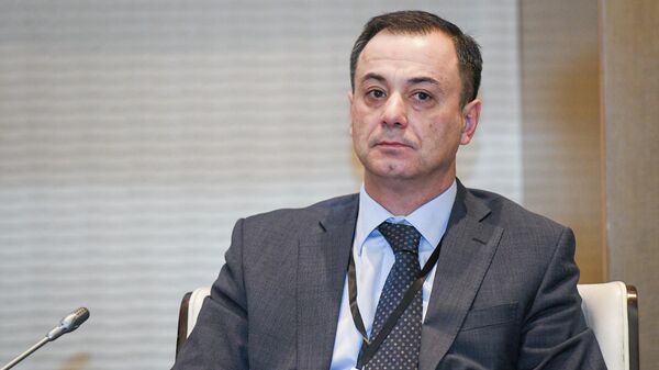 Посол по особым поручениям МИД Азербайджана Эльшад Искендеров - Sputnik Азербайджан