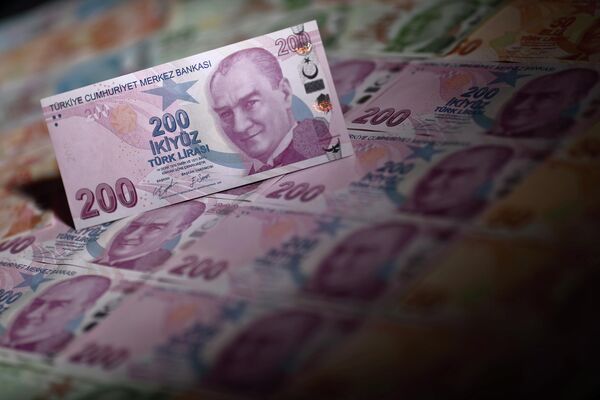 ОАЭ выделили $10 млрд для инвестиций в экономику Турции. И падение лиры на этих новостях замедлилось. - Sputnik Азербайджан