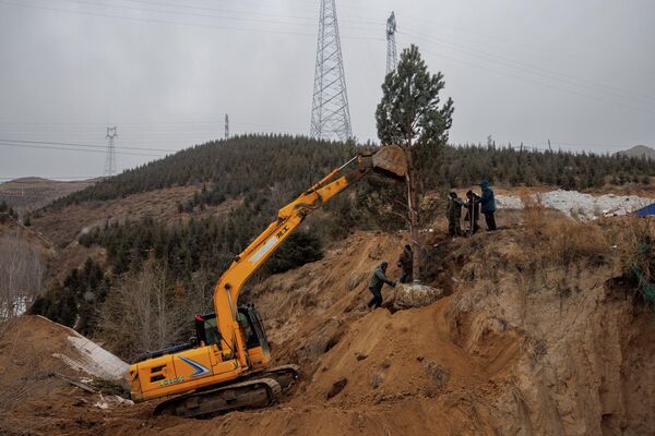 Рабочие сажают дерево недалеко от горнолыжных курортов в районе Чжанцзякоу. - Sputnik Азербайджан