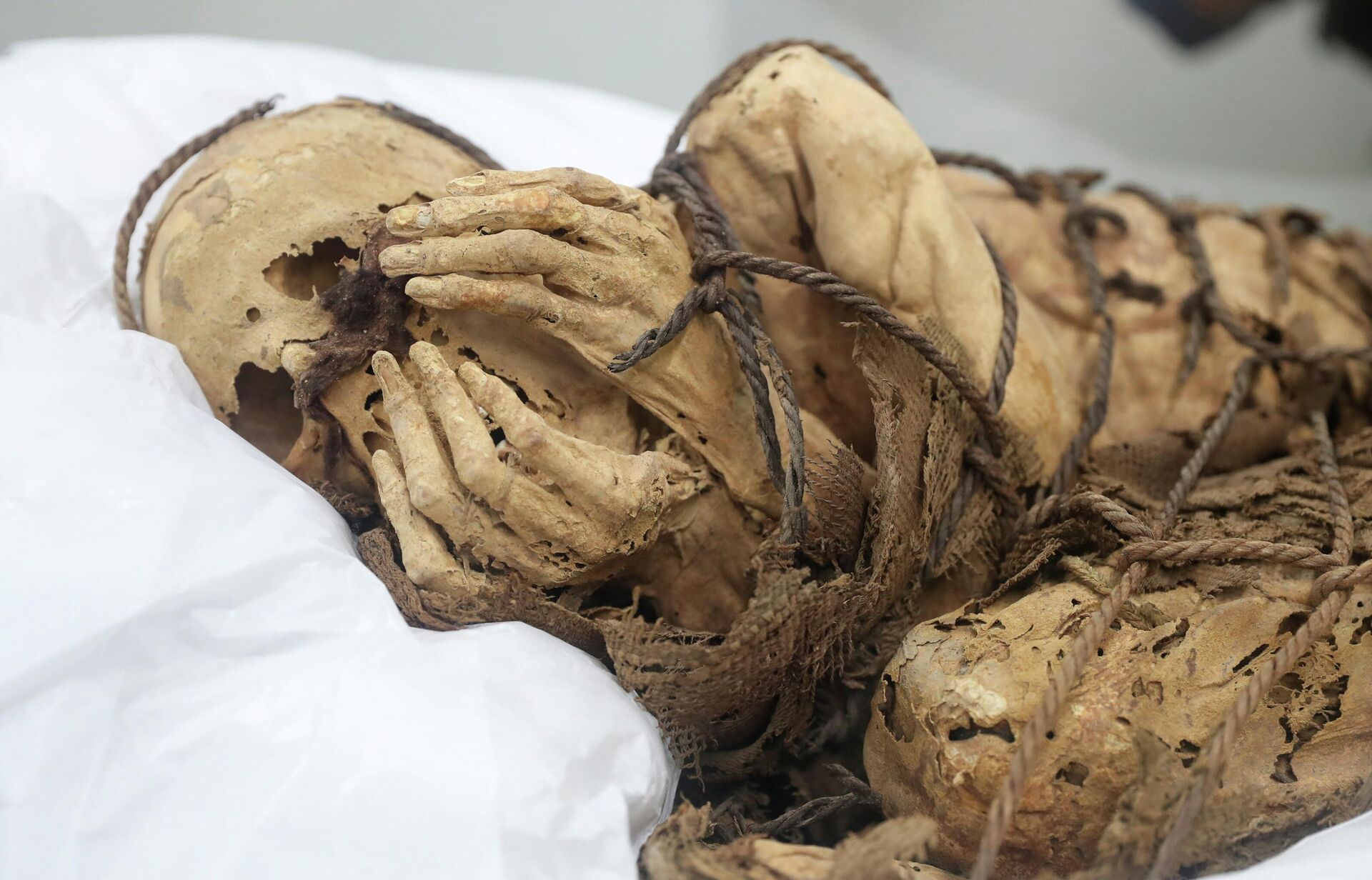 Плачущая мумиа в Университете Сан-Маркос в Лиме - Sputnik Азербайджан, 1920, 09.12.2021