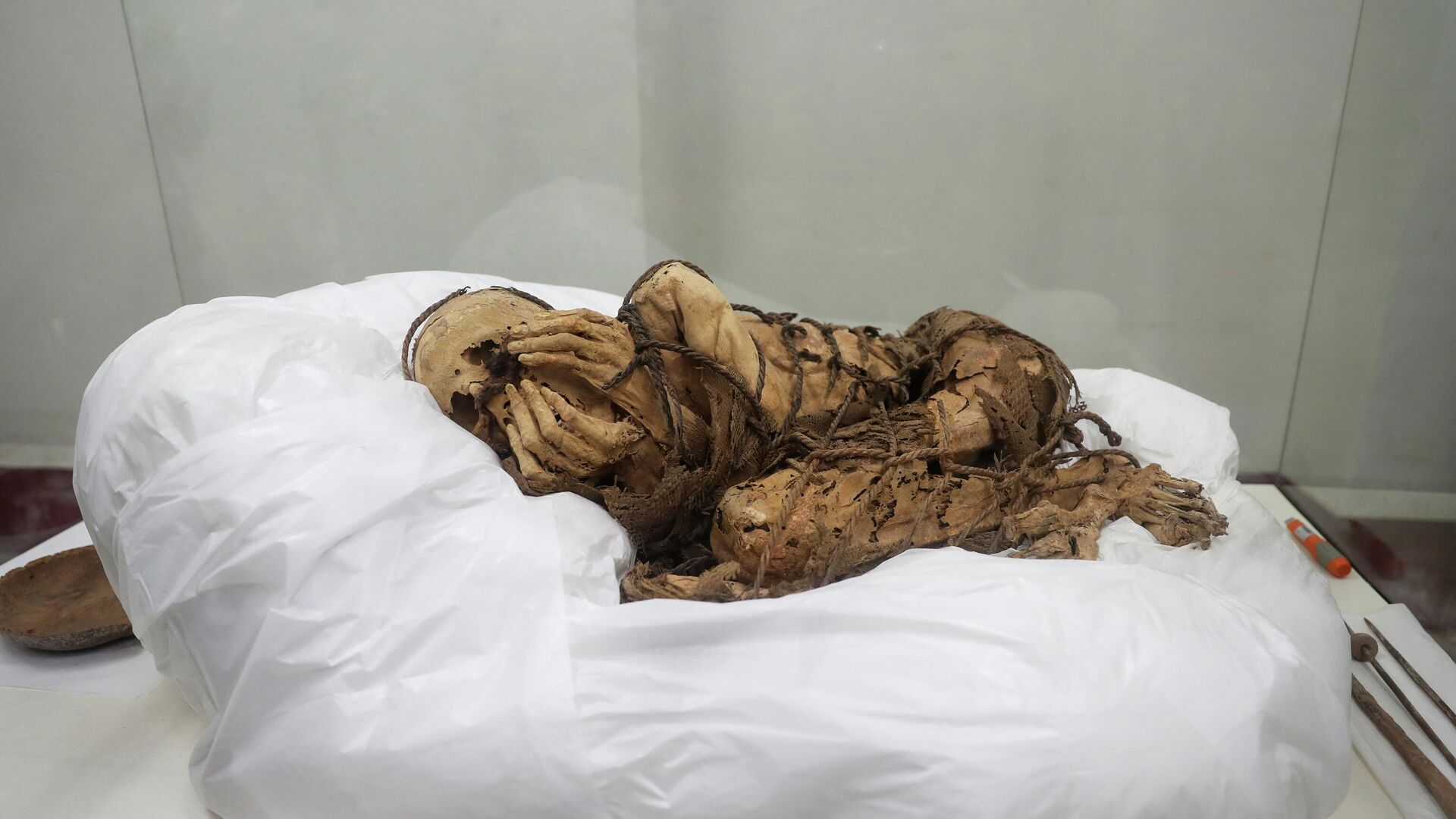 Плачущая мумиа в Университете Сан-Маркос в Лиме - Sputnik Азербайджан, 1920, 11.12.2021