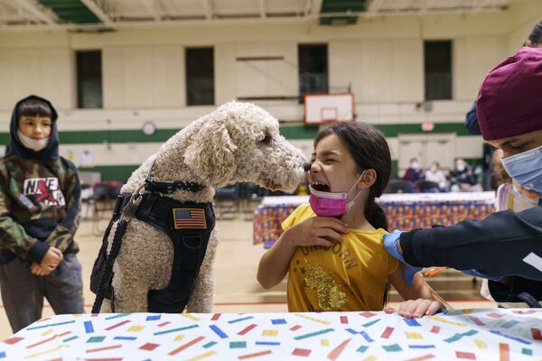 Девочка и собака-терапевт во время вакцинации в одной из школ Потакета, США. - Sputnik Азербайджан