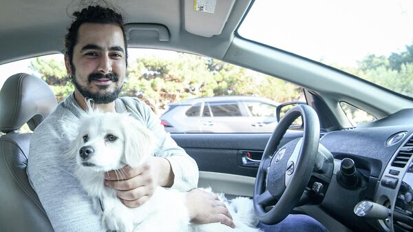 Таксист Нурхан Мамедли вместе с собакой Тэдди - Sputnik Азербайджан
