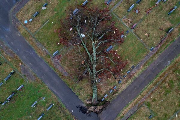 Вид с воздуха на упавшее дерево на кладбище в Мэйфилде, США. - Sputnik Азербайджан