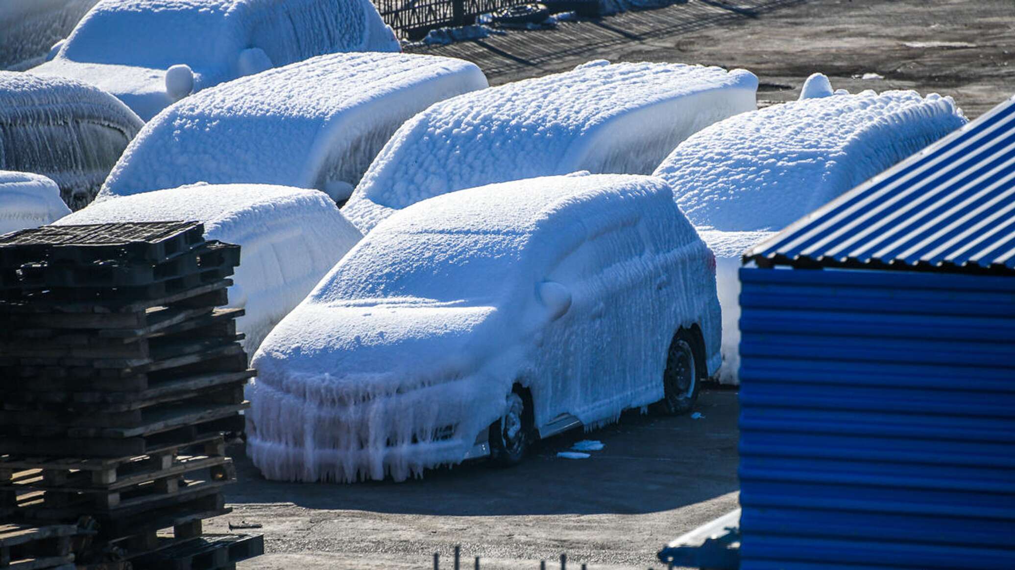 Шок для водителей: свежемороженые автомобили на палубе корабля - видео -  28.12.2021, Sputnik Азербайджан