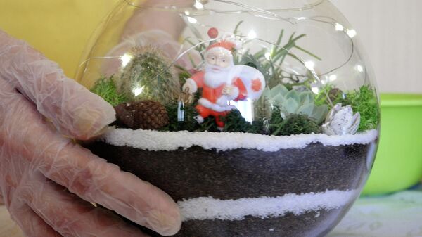 Как сделать новогодний подарок своими руками - покажет флорист - Sputnik Азербайджан