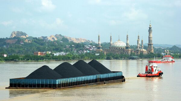 Баржа с углем на реке Махакам в Индонезии - Sputnik Азербайджан