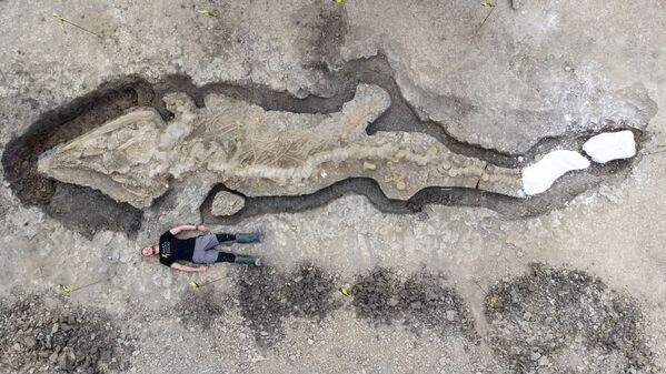Мужчина позирует рядом с останками крупнейшего ихтиозавра, найденного в Великобритании. - Sputnik Азербайджан