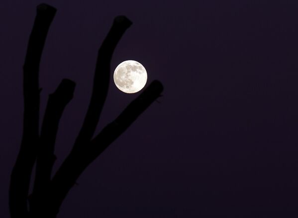 &quot;Волчья луна&quot;  восходит над Ламбтоном, Великобритания. - Sputnik Азербайджан