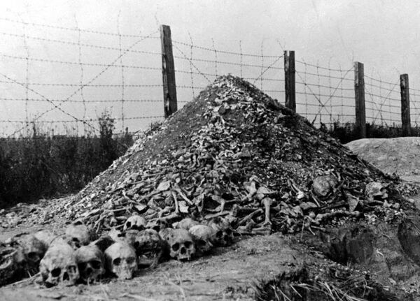 Куча человеческих костей и черепов в нацистском концентрационном лагере Майданек на окраине Люблина, втором по величине лагере смерти в Польше после Освенцима, после его освобождения в 1944 году советскими войсками. - Sputnik Азербайджан
