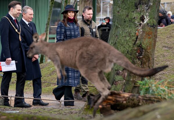 Danimarka şahzadəsi Mariya övladları ilə Kopenhagen zooparkını ziyarət edir. - Sputnik Azərbaycan
